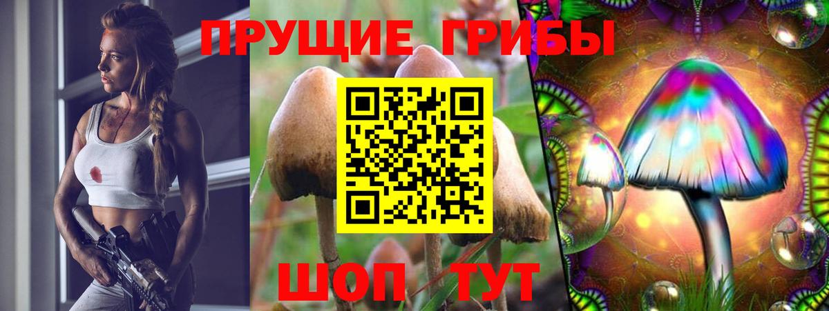Домодедово  Псилоцибиновые грибы Magic Shrooms  Вход с VPN 